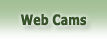 Web Cams