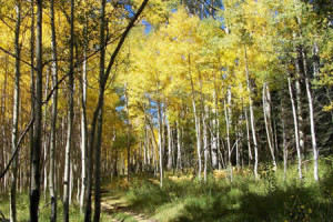 pagosa springs fall activities