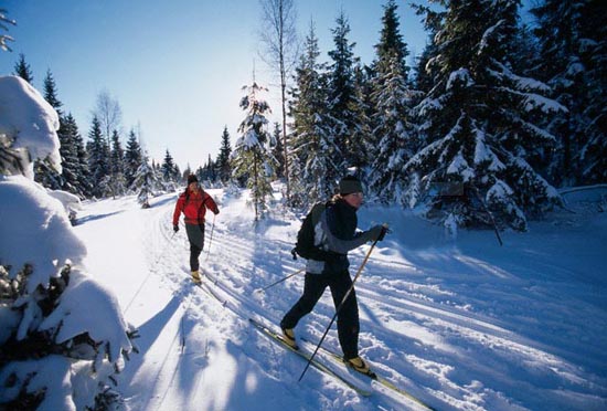 Cross-Country Skiing Cross-Country Skiing